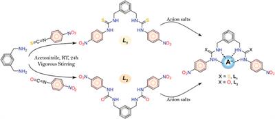 Anion Binding Studies of Urea and Thiourea Functionalized Molecular Clefts